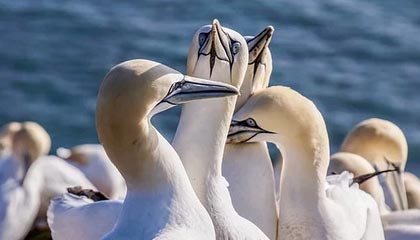 丽江高价上海医保提取2025的最新政策(2025年丽江上海医保怎么提取现金分享)