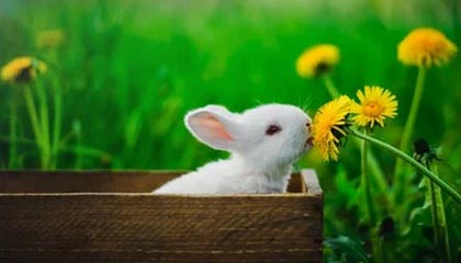 丽江高价求一个套医保卡的黄牛南京的最新政策(2025年丽江南京收医保卡买药分享)